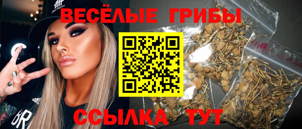 Ейск  Галлюциногенные грибы ЛСД  Вход с VPN  Галлюциногенные грибы мухоморы 